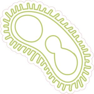 STEM Стикер, Природни науки - Биология, комплект F5, 50 cm, стикер 6