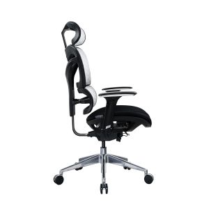 Ергономичен стол RFG TECH@GAMES, Multi-function механизъм, до 250 kg, черна седалка, бяло-черна облегалка