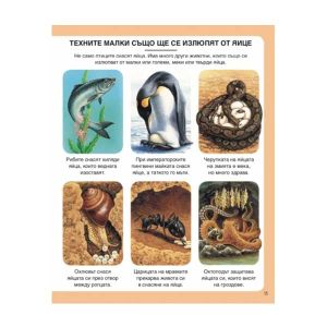 Енциклопедия на природата