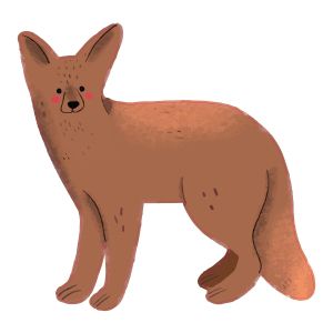 STEM Стикер, За най-малките, комплект P2, 50 cm, стикер 5