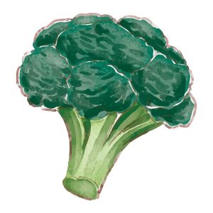 STEM Стикер, За най-малките, комплект P5, 100 cm, стикер 8