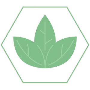 STEM Стикер, Природни науки - Биология, комплект F8, 100 cm, стикер 5