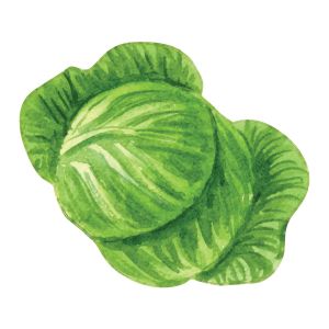 STEM Стикер, За най-малките, комплект P5, 100 cm, стикер 1