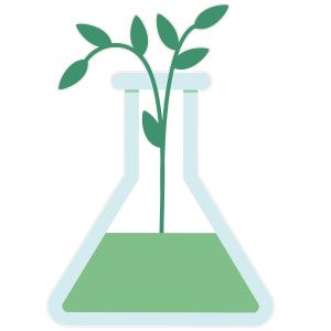 STEM Стикер, Природни науки - Биология, комплект F8, 150 cm, стикер 1