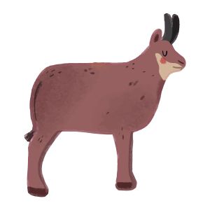 STEM Стикер, За най-малките, комплект P2, 80 cm, стикер 6