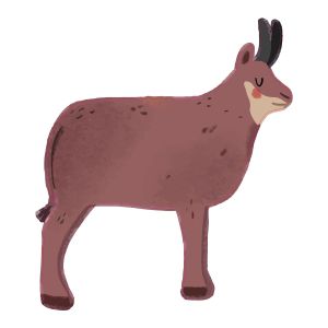 STEM Стикер, За най-малките, комплект P2, 50 cm, стикер 6