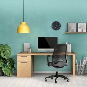 Ергономичен стол Interstuhl Every EV252, дамаска и меш, Autolift механизъм, полиамидна основа, до 130 kg, черен