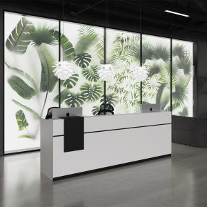 Рецепция RFG Ravena, 2000 х 632 х 1066 mm, ПДЧ, бяло-черна