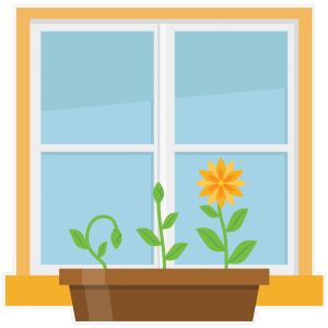 STEM Стикер, Природни науки - Биология, комплект F1, 150 cm, стикер 6