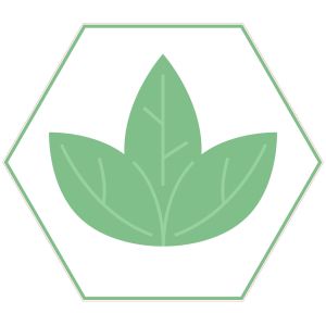 STEM Стикер, Природни науки - Биология, комплект F8, 80 cm, стикер 5