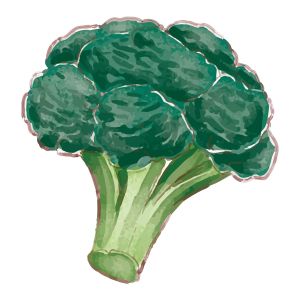 STEM Стикер, За най-малките, комплект P5, 50 cm, стикер 8