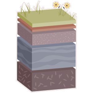 STEM Стикер, Природни науки - Биология, комплект F10, 50 cm, стикер 2