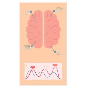 STEM Стикер, Природни науки - Биология, комплект F7, 50 cm, стикер 9