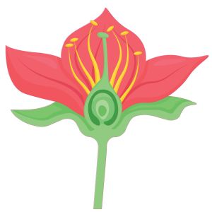 STEM Стикер, Природни науки - Биология, комплект F3, 50 cm, стикер 7