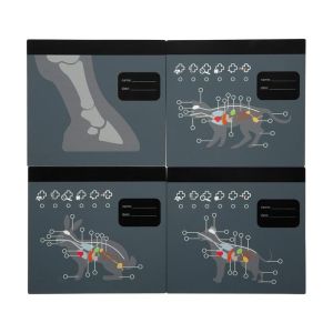 Small Foot Ветеринарна чанта, с медицинско оборудване и зайче