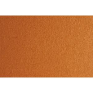 Fabriano Картон Colore, 70 x 100 cm, 140 g/m2, № 223, светлокафяв