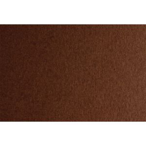 Fabriano Картон Colore, 50 x 70 cm, 200 g/m2, № 226, кафяв