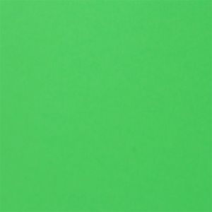 Fabriano Картон Colore, 50 x 70 cm, 200 g/m2, № 230, тревистозелен