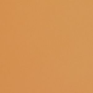 Fabriano Картон Colore, 70 x 100 cm, 200 g/m2, № 223, светлокафяв