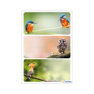 Herma Самозалепващи се етикети Птици, ученически, 9 броя
