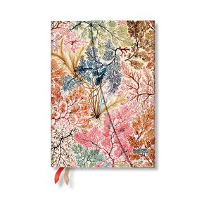 Paperblanks Планер Anemone, Midi, хоризонтален, твърда корица, 80 листа, за 2026 година