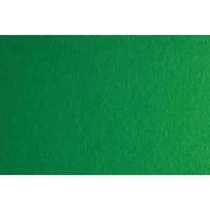 Fabriano Картон Colore, 50 x 70 cm, 140 g/m2, № 231, зелен