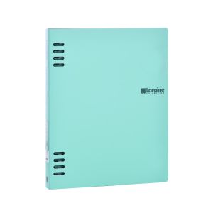 Sworld Органайзер, B5, с 5 разделителя, мента