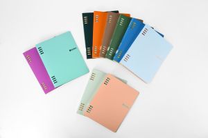 Sworld Органайзер, B5, с 5 разделителя, мента