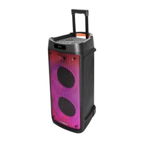 Тонколона Blaupunkt PB08DB, FM радио, USB/SD/AUX, 700 W, с 2 бежични микрофона
