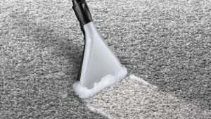 Bosch Прахосмукачка BWD421POW, за мокро и сухо почистване