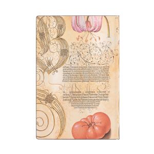 Paperblanks Тефтер Lily&Tomato, Mini, широки редове, мека корица, 104 листа