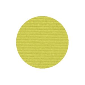 Fabriano Картон Elle Erre, 70 x 100 cm, 220 g/m2, № 125, кедър