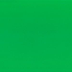 Fabriano Картон Elle Erre, 50 x 70 cm, 220 g/m2, № 111, зелен