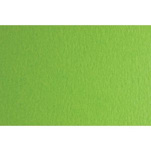 Fabriano Картон Colore, 70 x 100 cm, 140 g/m2, № 230, тревистозелен