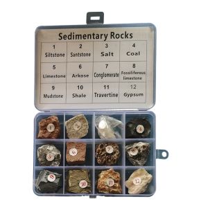 Gelsonlab Колекция седиментни скали