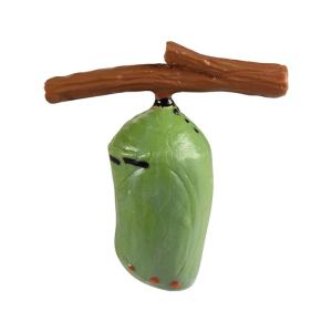 Жизнен цикъл на пеперуда Eduplay