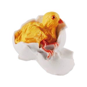 Жизнен цикъл на пиле Eduplay