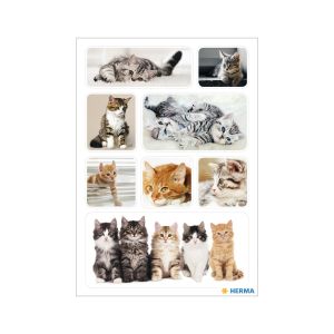Herma Самозалепващи се етикети Малки котета, 3 листа