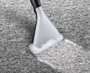 Перяща прахосмукачка Bosch BWD41740, 1700 W