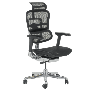 Ергономичен стол ERGOHUMAN ELITE 2 - черна рамка - черен