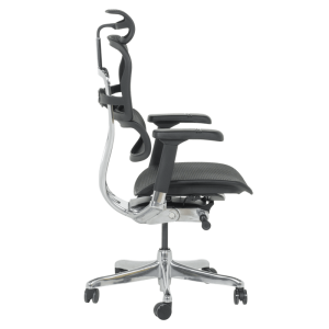 Ергономичен стол ERGOHUMAN ELITE 2 - черна рамка - черен