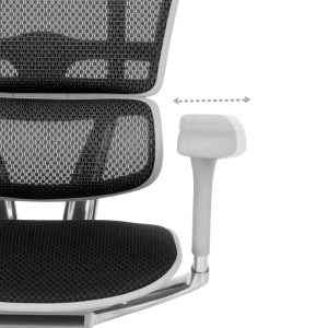 Ергономичен стол ERGOHUMAN ELITE 2 - сива рамка - черен