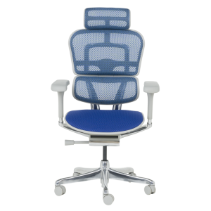 Ергономичен стол ERGOHUMAN ELITE 2 - сива рамка - син