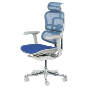 Ергономичен стол ERGOHUMAN ELITE 2 - сива рамка - син