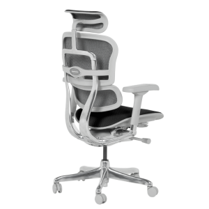 Ергономичен стол ERGOHUMAN ELITE 2 - сива рамка - черен