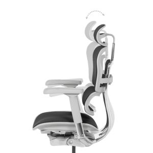 Ергономичен стол ERGOHUMAN ELITE 2 - сива рамка - черен