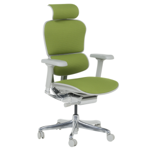 Ергономичен стол ERGOHUMAN ELITE 2 - сива рамка - зелен