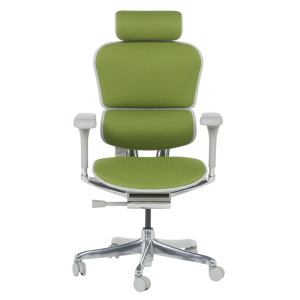 Ергономичен стол ERGOHUMAN ELITE 2 - сива рамка - зелен