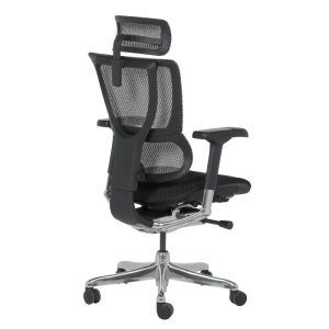 Ергономичен стол ERGOHUMAN IOO ELITE 2 - черна рамка - черен