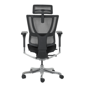 Ергономичен стол ERGOHUMAN IOO ELITE 2 - черна рамка - черен